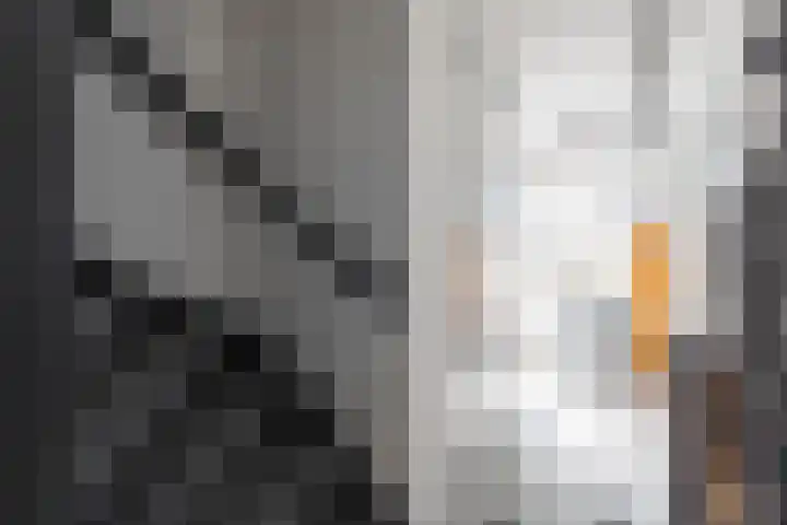 Donatusstraat 150 Nuth thumbnail 5