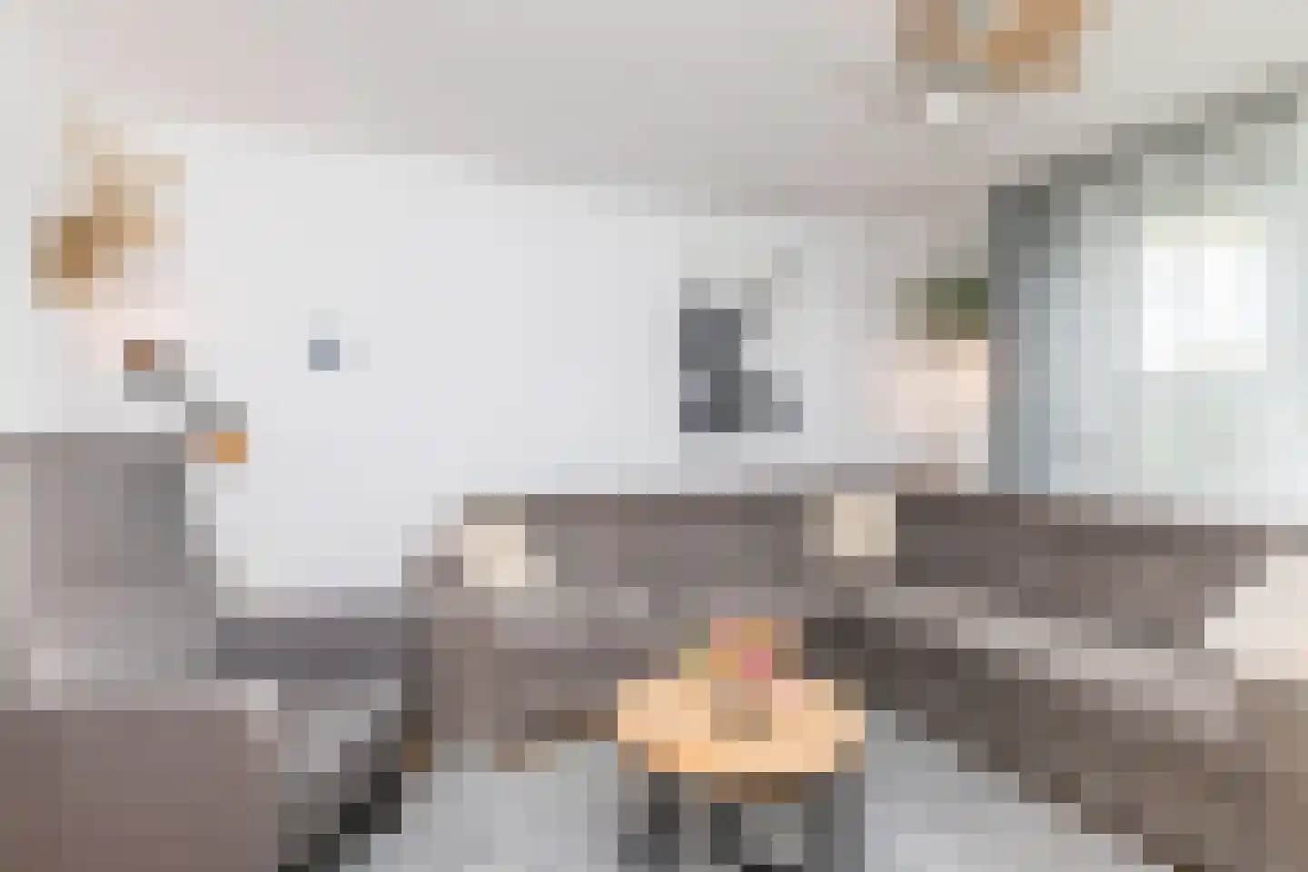 Donatusstraat 30 Nuth thumbnail 5