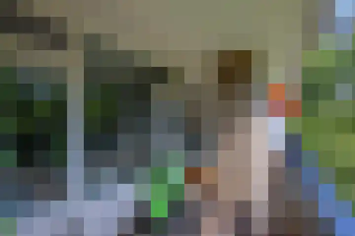 Donau 100 Amstelveen thumbnail 12