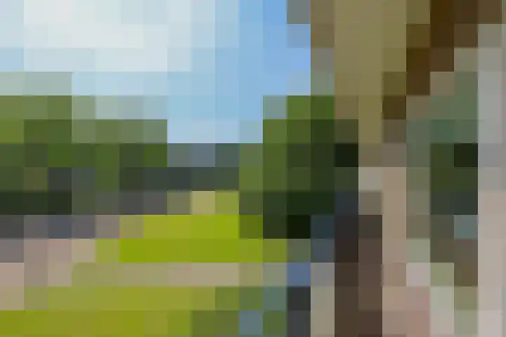 Donau 100 Amstelveen thumbnail 15
