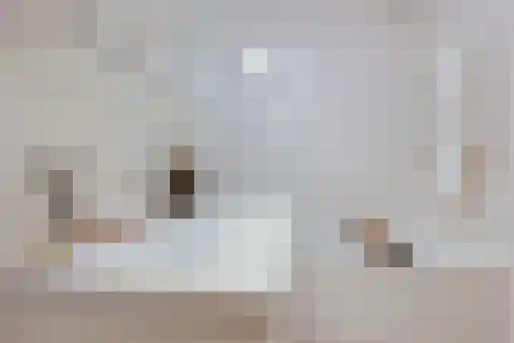 Donau 100 Amstelveen thumbnail 20