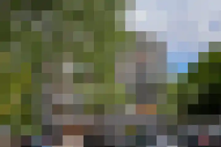 Donau 100 Amstelveen thumbnail 22
