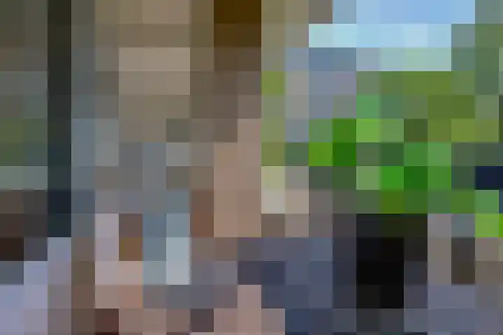 Donau 100 Amstelveen thumbnail 4