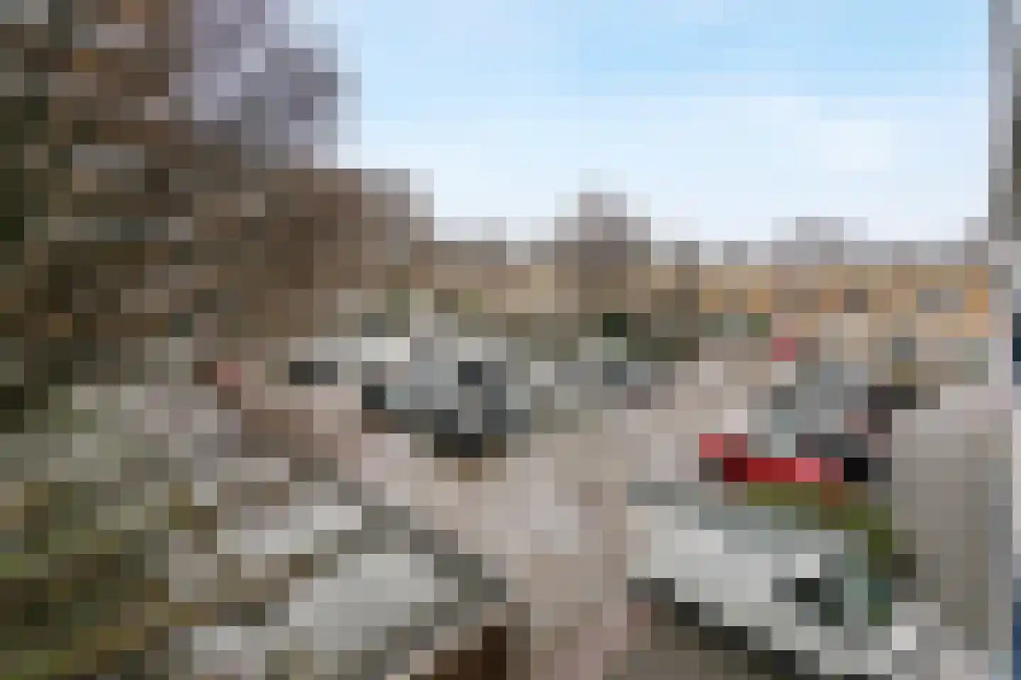 Donau 102 Amstelveen thumbnail 22