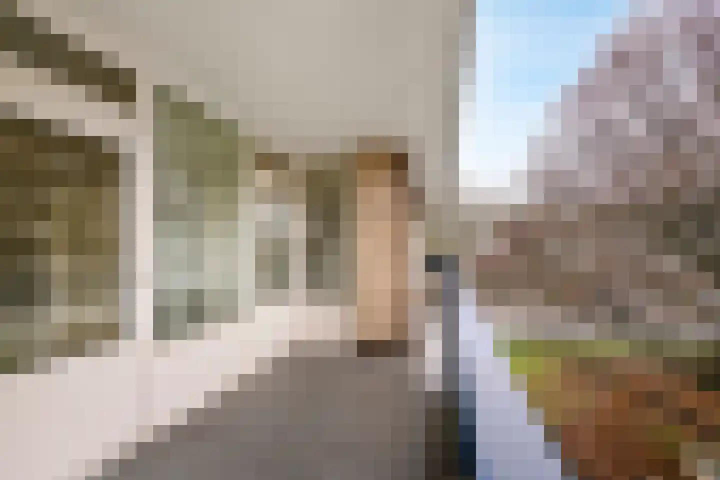 Donau 102 Amstelveen thumbnail 6