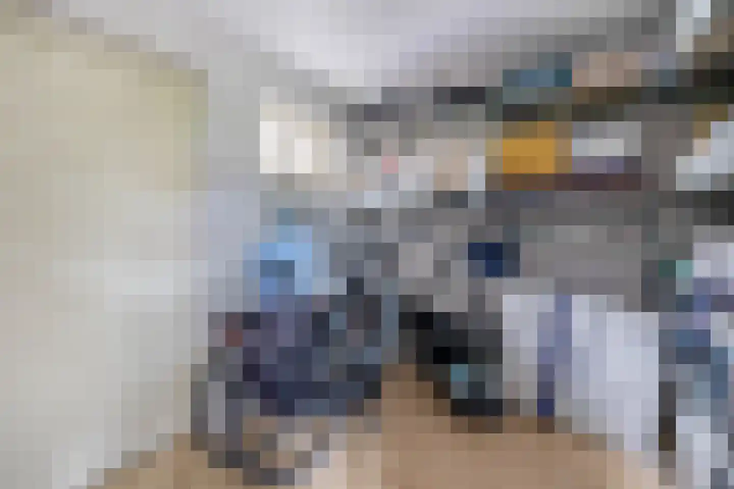 Donau 143 Nieuwerkerk aan den IJssel thumbnail 31