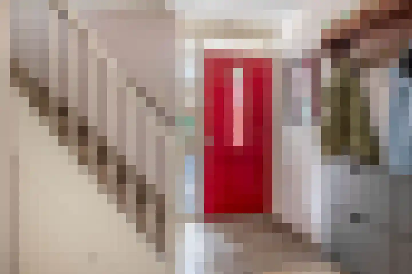 Donau 143 Nieuwerkerk aan den IJssel thumbnail 5