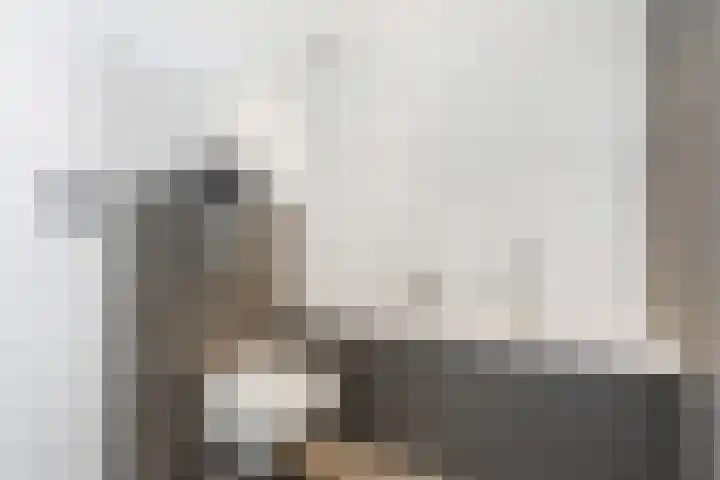 Donau 159 Nieuwerkerk aan den IJssel thumbnail 21