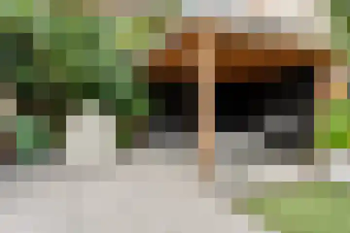 Donau 159 Nieuwerkerk aan den IJssel thumbnail 37