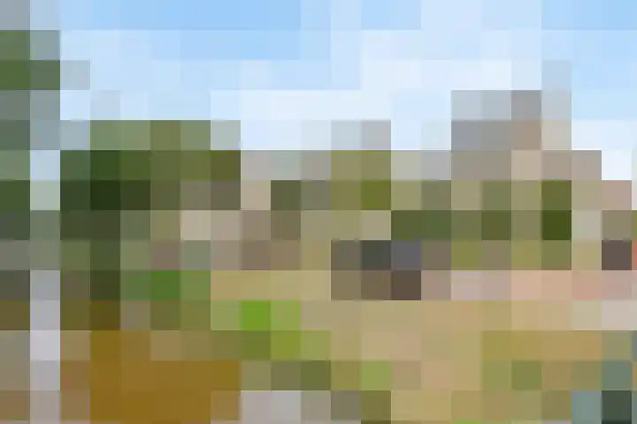 Donau 159 Nieuwerkerk aan den IJssel thumbnail 41