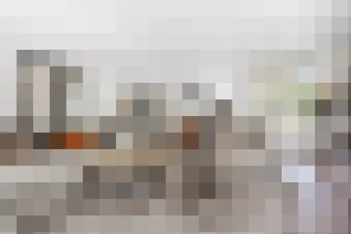Donau 159 Nieuwerkerk aan den IJssel thumbnail 9