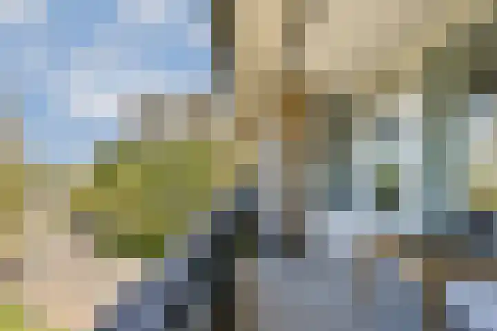 Donau 168 Amstelveen thumbnail 11