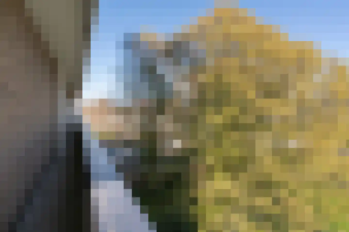 Donau 26 Amstelveen thumbnail 14