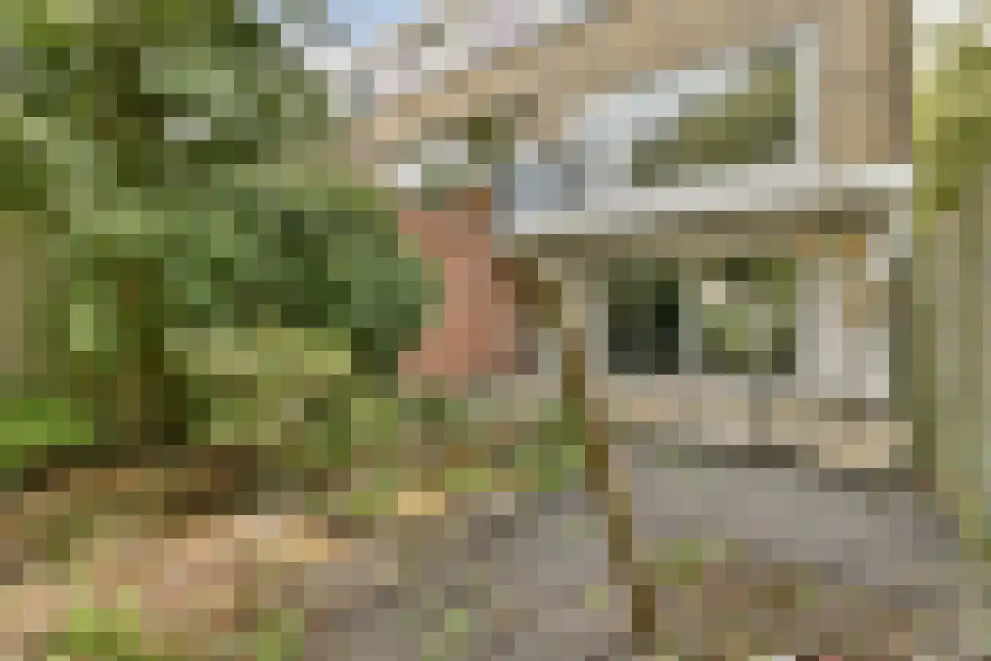 Donau 3 Amstelveen thumbnail 4