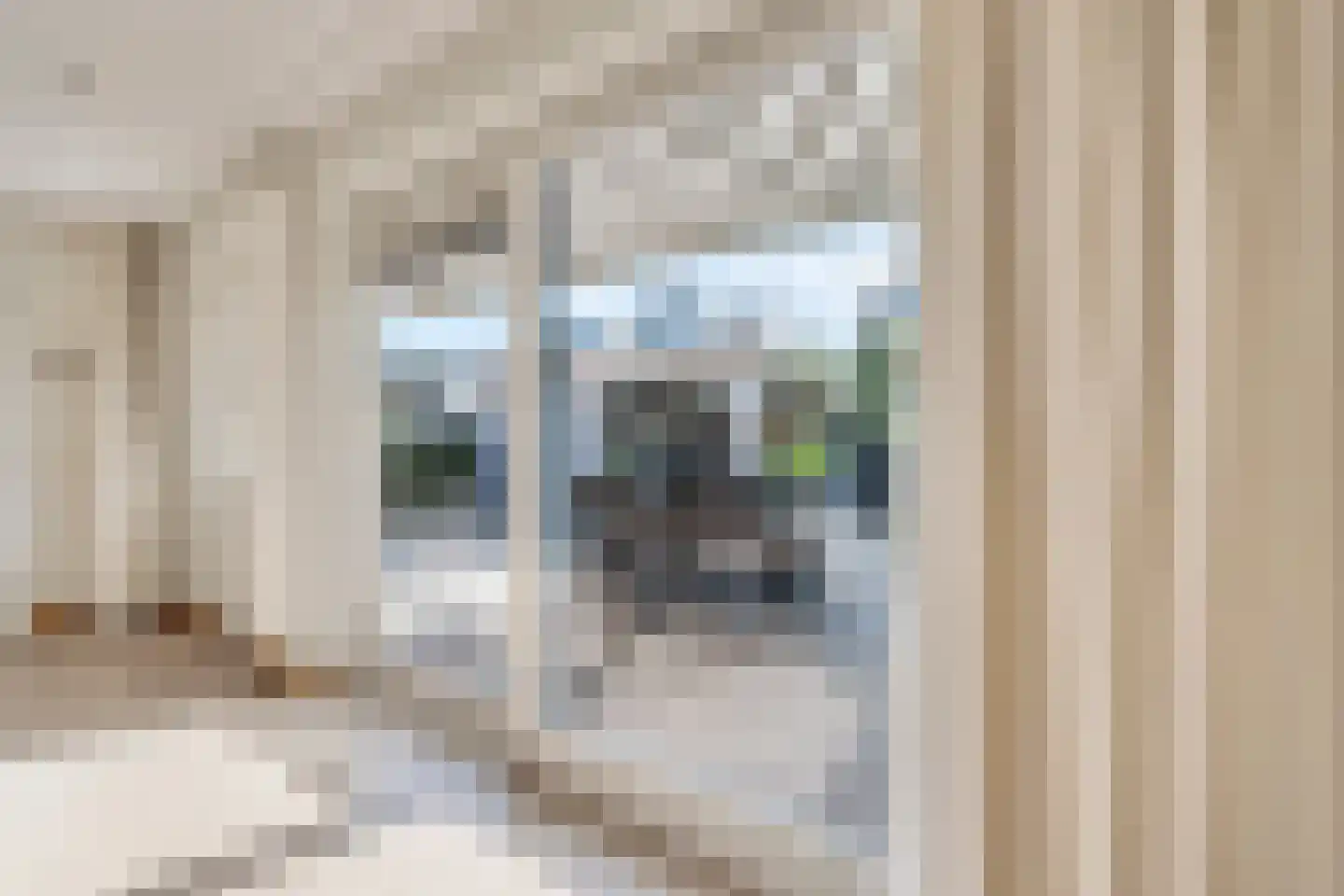 Donau 5 Wormer thumbnail 14