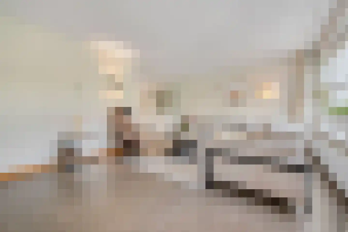 Donau 5 Wormer thumbnail 7