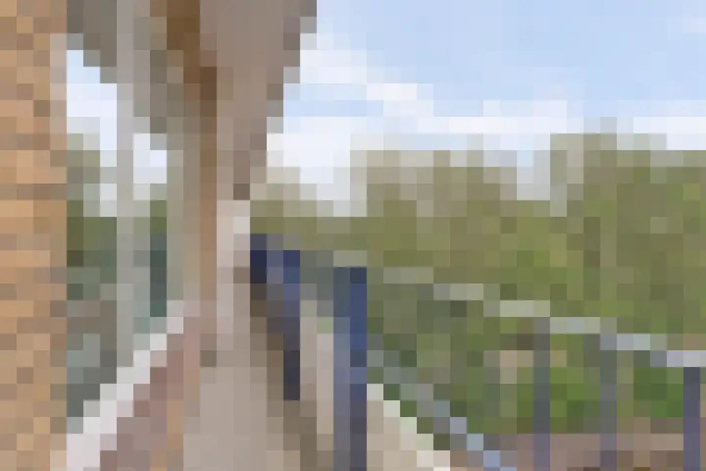 Donau 56 Amstelveen thumbnail 11