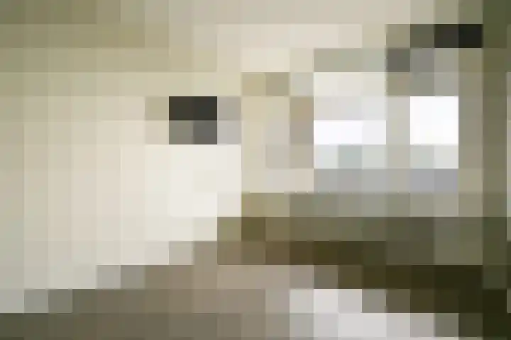 Donau 76 Amstelveen thumbnail 12