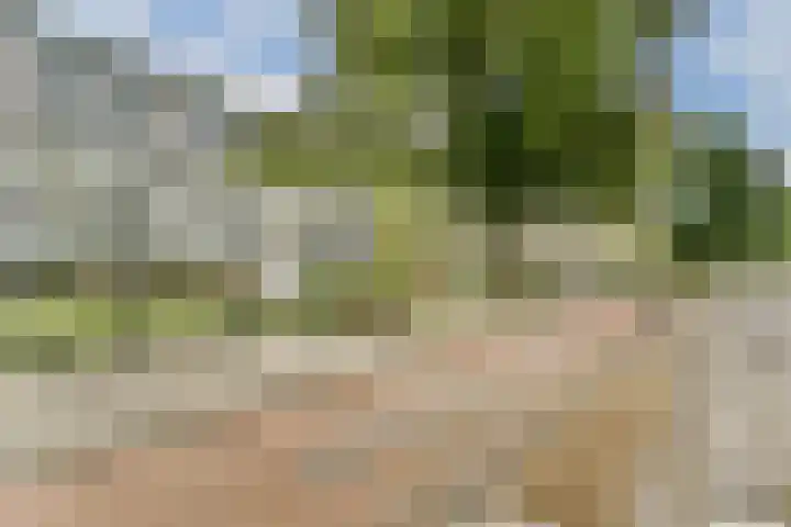 Donau 76 Amstelveen thumbnail 19