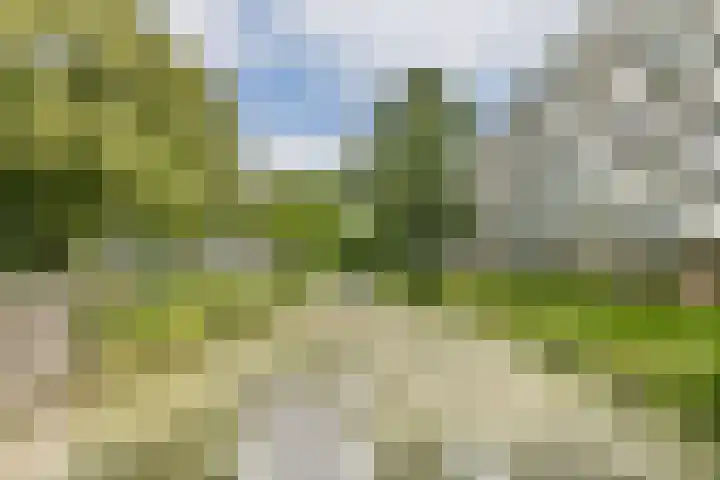 Donau 76 Amstelveen thumbnail 20