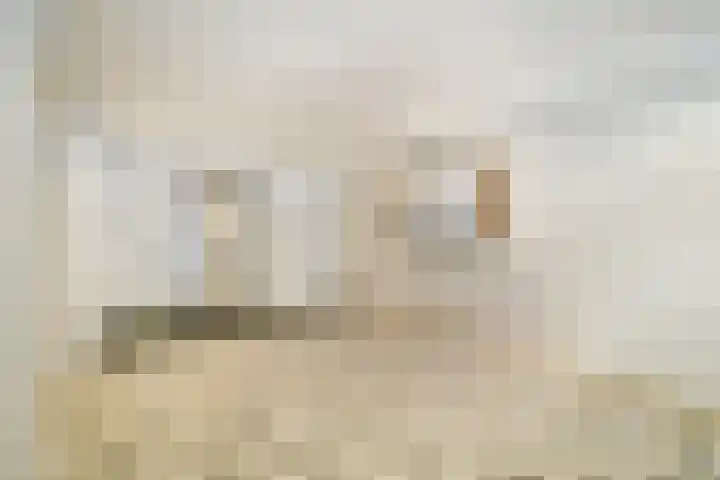 Donau 76 Amstelveen thumbnail 5