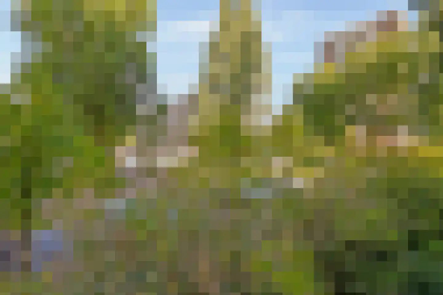 Donau 94 Amstelveen thumbnail 15