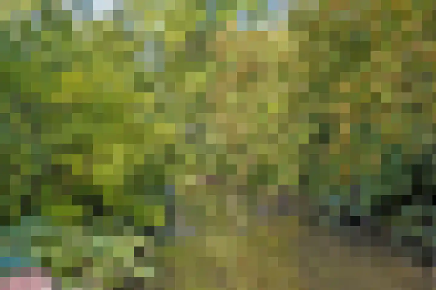 Donau 94 Amstelveen thumbnail 29