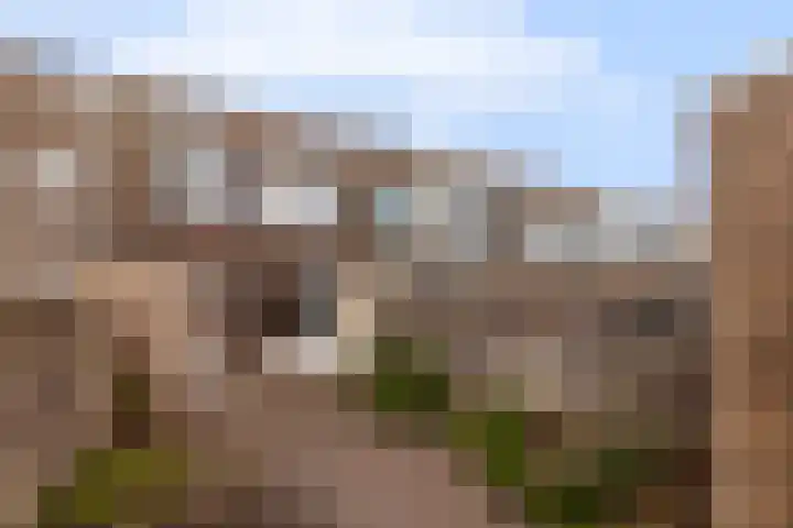 Donaublauw 27 Zoetermeer thumbnail 10
