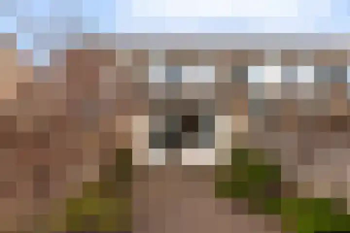 Donaublauw 27 Zoetermeer thumbnail 11