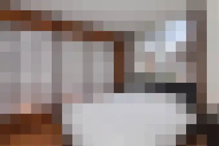 Donaublauw 27 Zoetermeer thumbnail 15