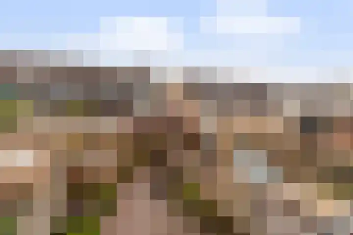 Donaublauw 27 Zoetermeer thumbnail 25