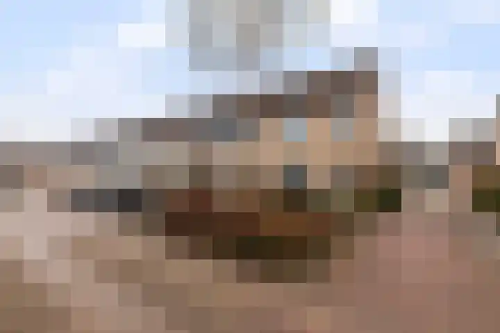 Donaublauw 27 Zoetermeer thumbnail 30