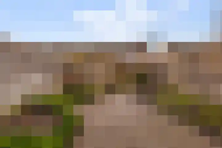 Donaublauw 27 Zoetermeer thumbnail 9
