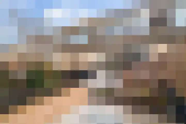 Donaublauw 35 Zoetermeer thumbnail 13