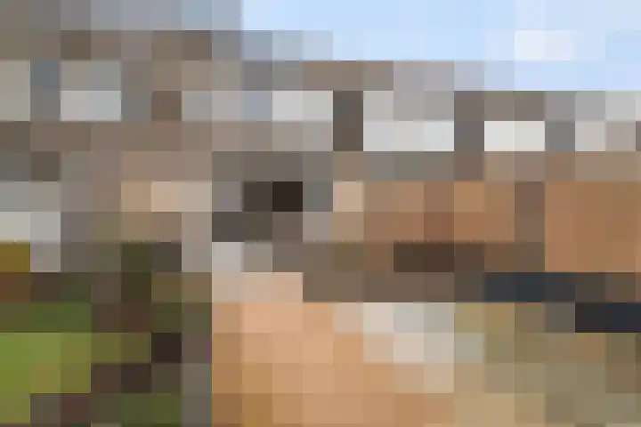 Donaublauw 35 Zoetermeer thumbnail 14