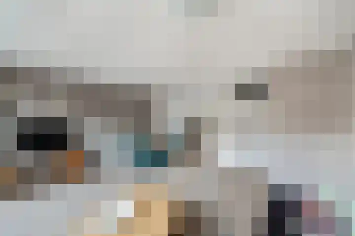 Donaublauw 35 Zoetermeer thumbnail 18
