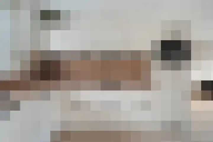 Donaublauw 35 Zoetermeer thumbnail 21