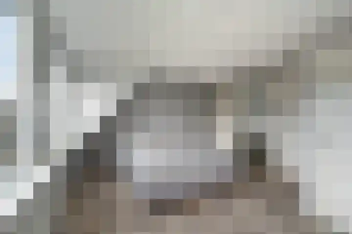 Donaublauw 35 Zoetermeer thumbnail 26