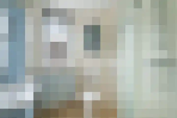 Donaublauw 35 Zoetermeer thumbnail 33