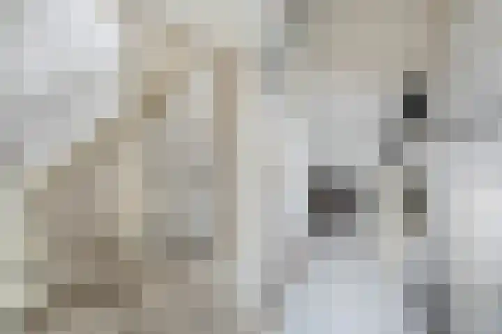 Donaublauw 35 Zoetermeer thumbnail 35