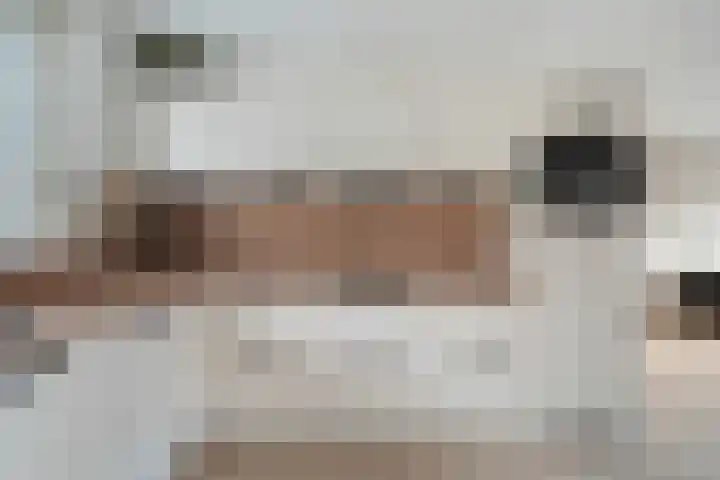 Donaublauw 35 Zoetermeer thumbnail 4