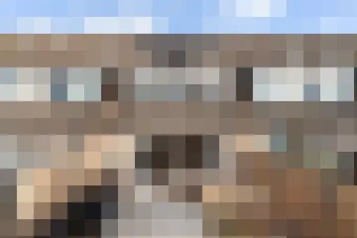 Donaublauw 35 Zoetermeer thumbnail 42