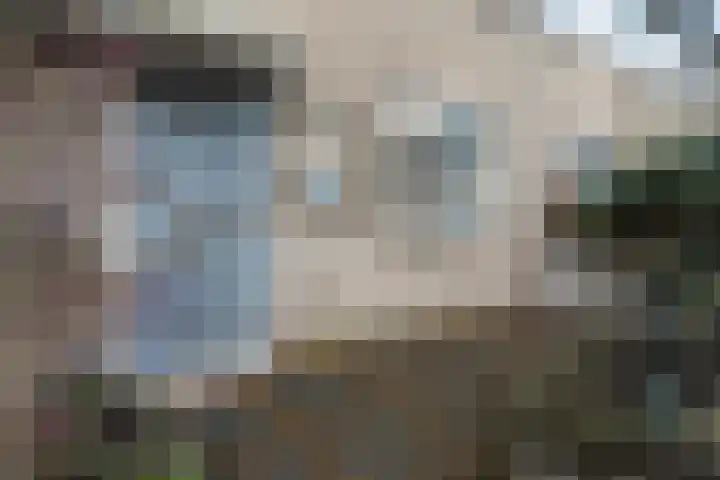 Donaublauw 35 Zoetermeer thumbnail 6