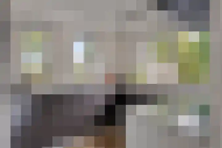 Donaudal 146 Doetinchem thumbnail 16