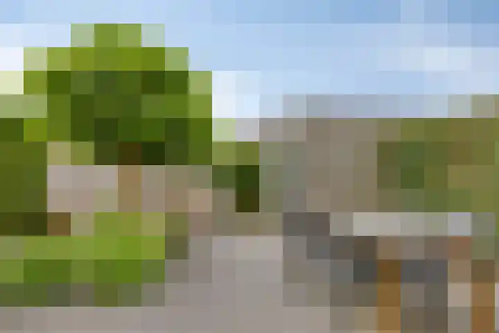 Donaudal 146 Doetinchem thumbnail 33