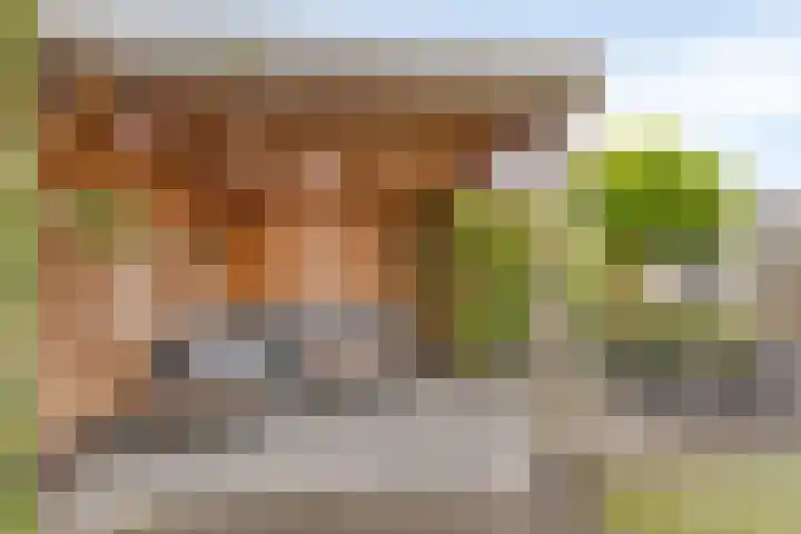 Donaudal 146 Doetinchem thumbnail 34