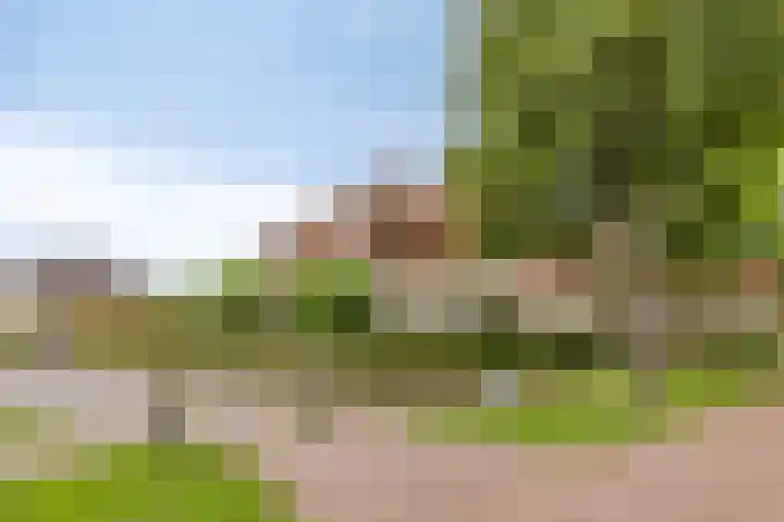 Donaudal 146 Doetinchem thumbnail 36