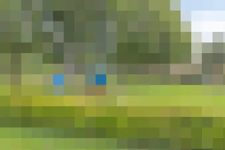 Donaudal 146 Doetinchem thumbnail 37