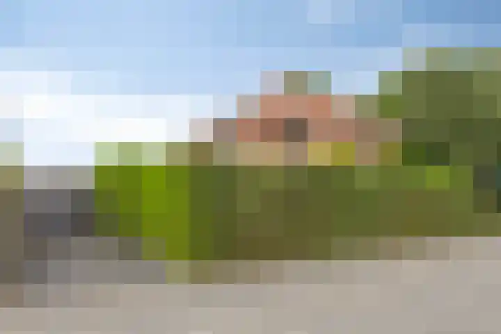 Donaudal 146 Doetinchem thumbnail 4