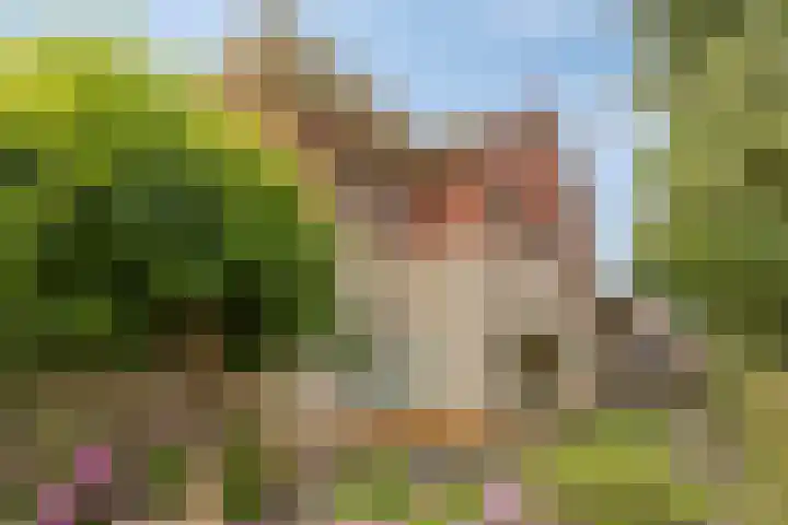 Donaudal 146 Doetinchem thumbnail 6